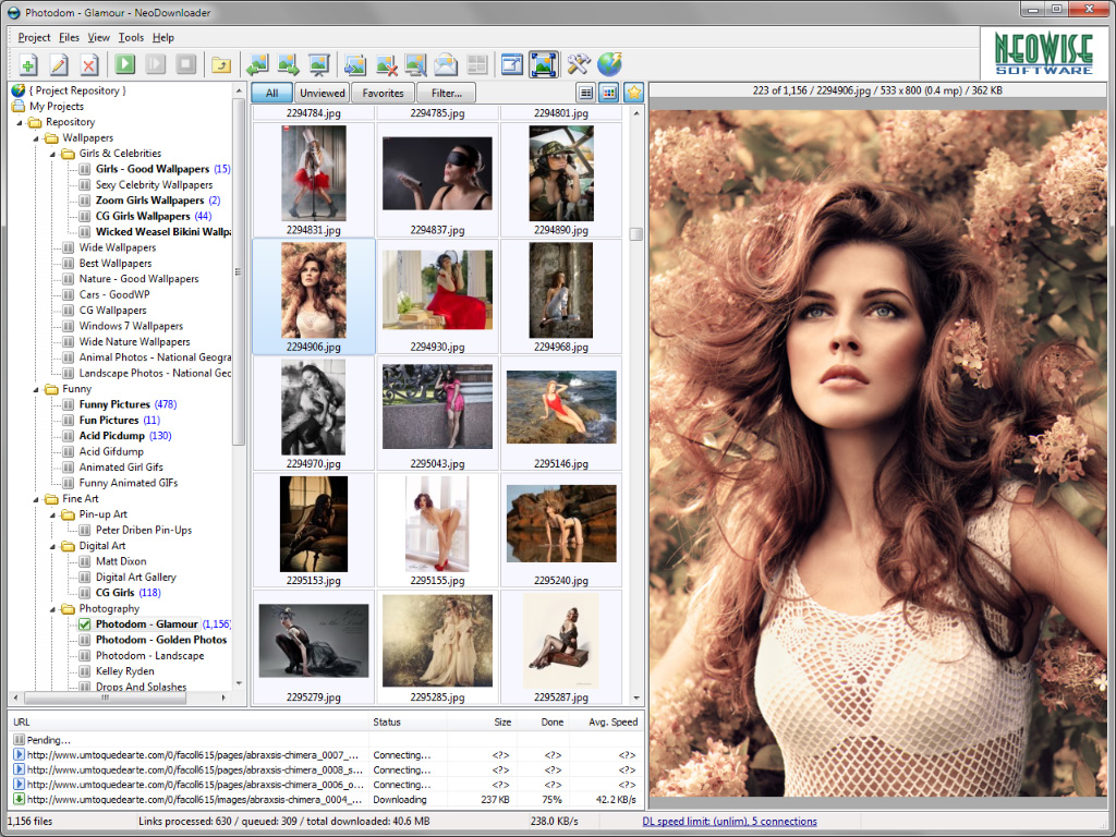 NeoDownloader 5.0.2